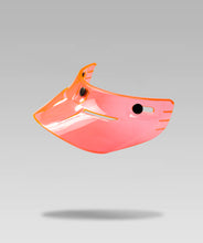 Load image into Gallery viewer, RR CLASSIC ENDURO CAP TRANSPARENT (4 Color Option)